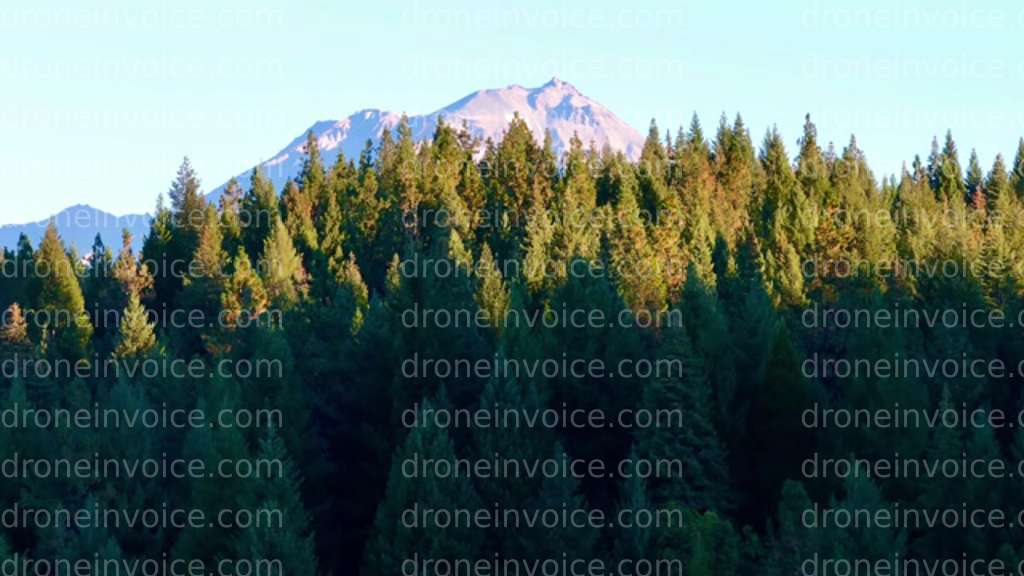 Cover for Mt Shasta Rising