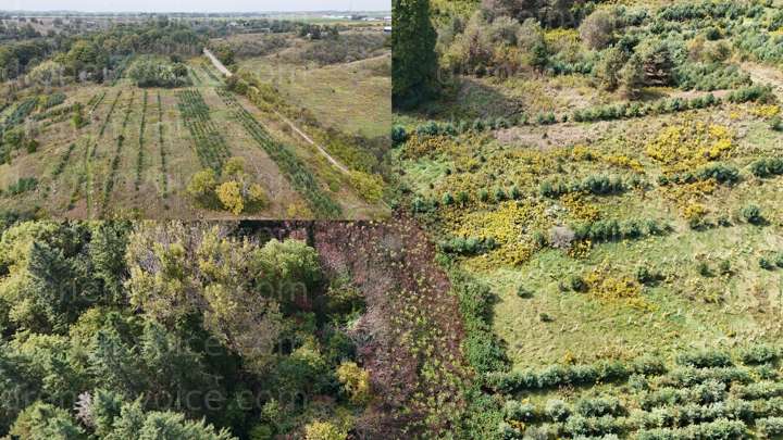 Cover for Nashville Conservation Area Planting Orthos