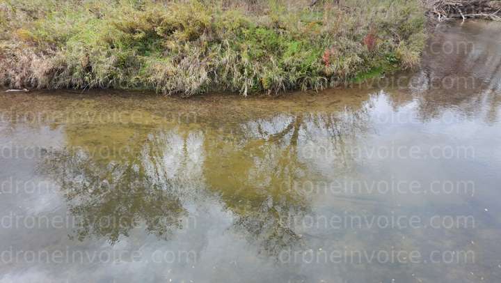 Cover for Humber River Inspection Video