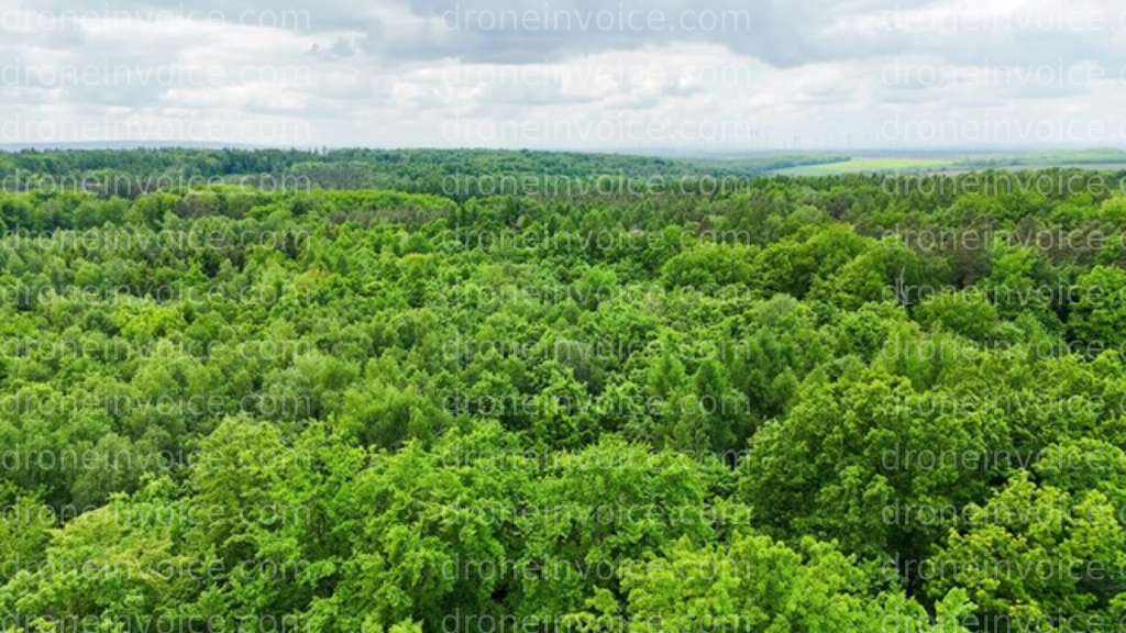 Cover for New Invoice