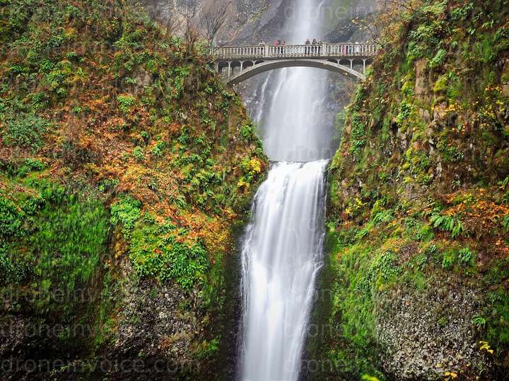 Cover for Portfolio samples