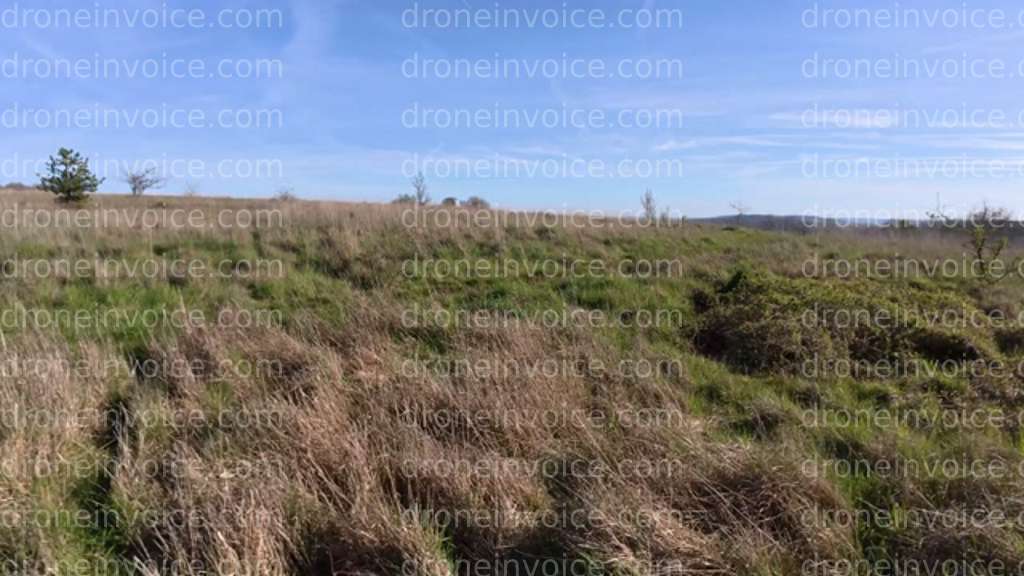 Cover for Open Plain, Lone Trees Fpv and stabilised drone