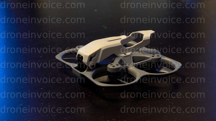 Cover for new-pilot-2's Portfolio Upload Invoice