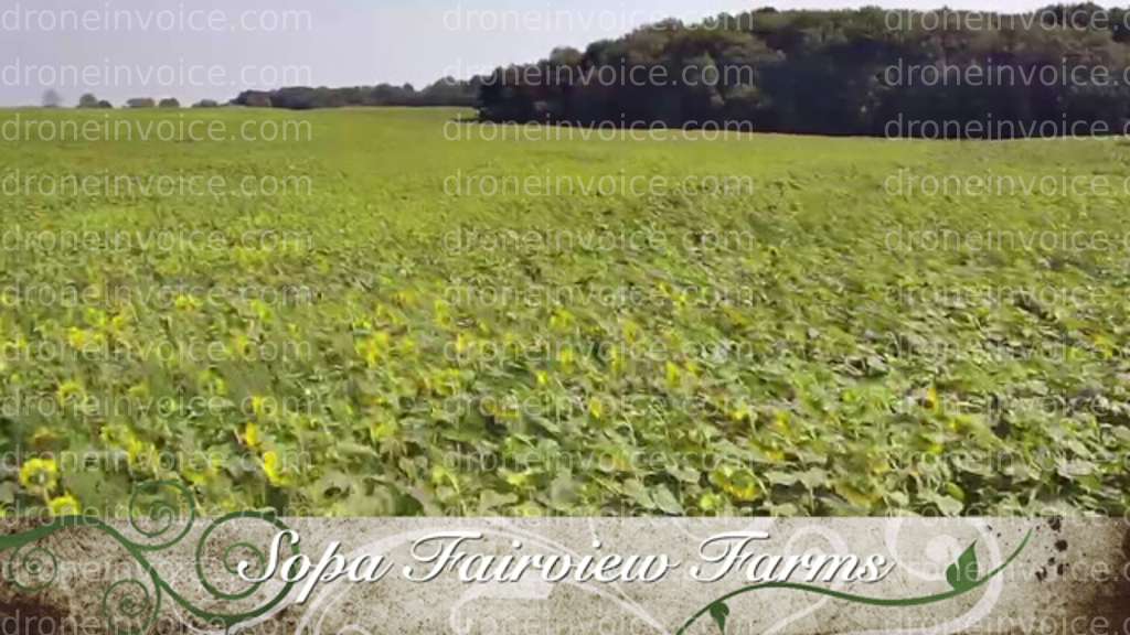 Cover for Default stock media upload invoice