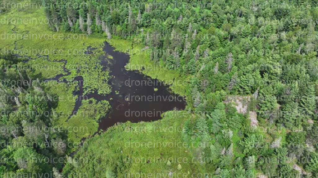 Cover for New Invoice