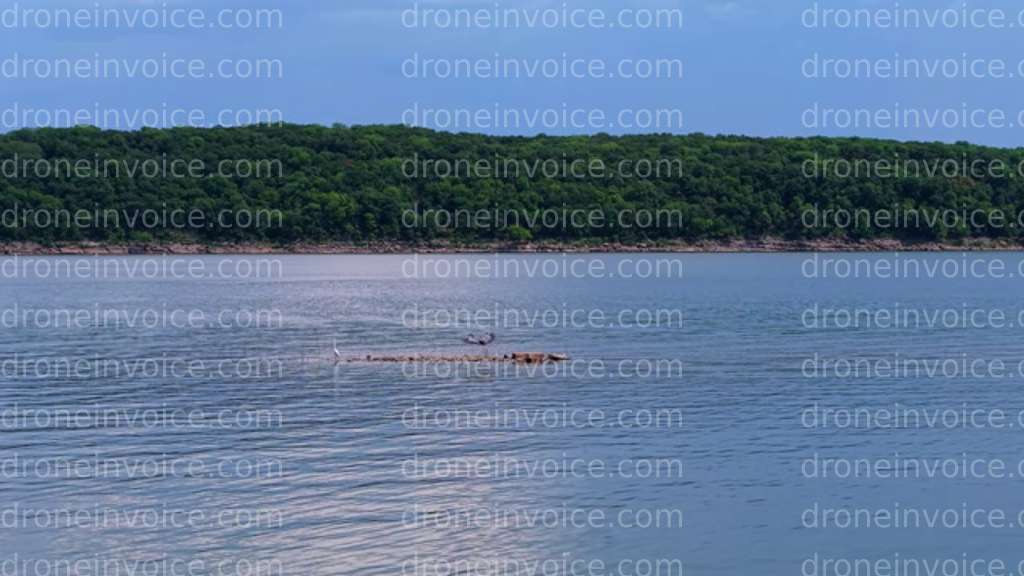 Cover for Great Blue Heron In Flight Slow Motion Fort Gibson Lake, Oklahoma