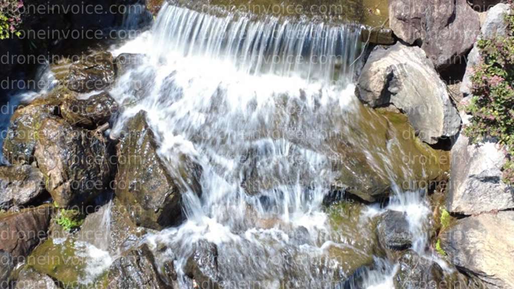 Cover for Default stock media upload invoice