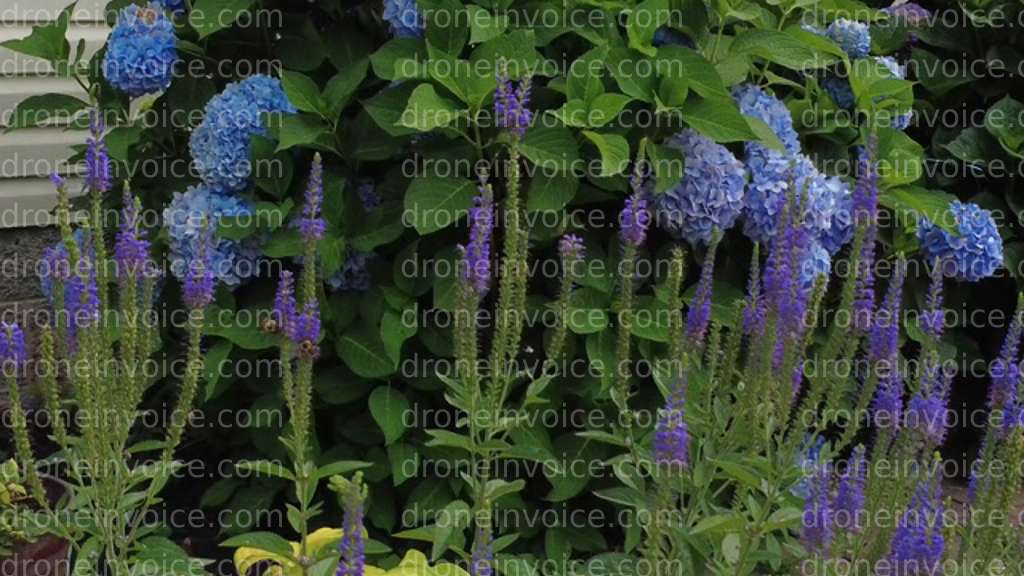 Cover for Default stock media upload invoice