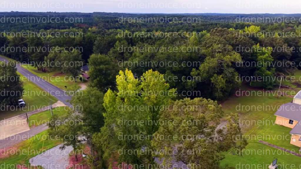 Cover for Whaley Ferry Road - Residential Property Orbital Flythrough
