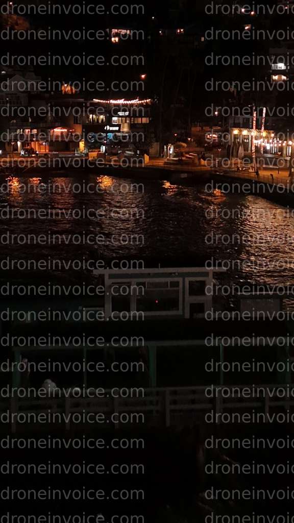 Cover for Avalon at Night