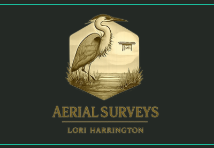 Lori Harrington Aerial & Archaeology