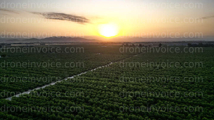 Cover for Precision Ag Photography