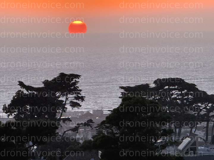 Cover for 's Portfolio Upload Invoice