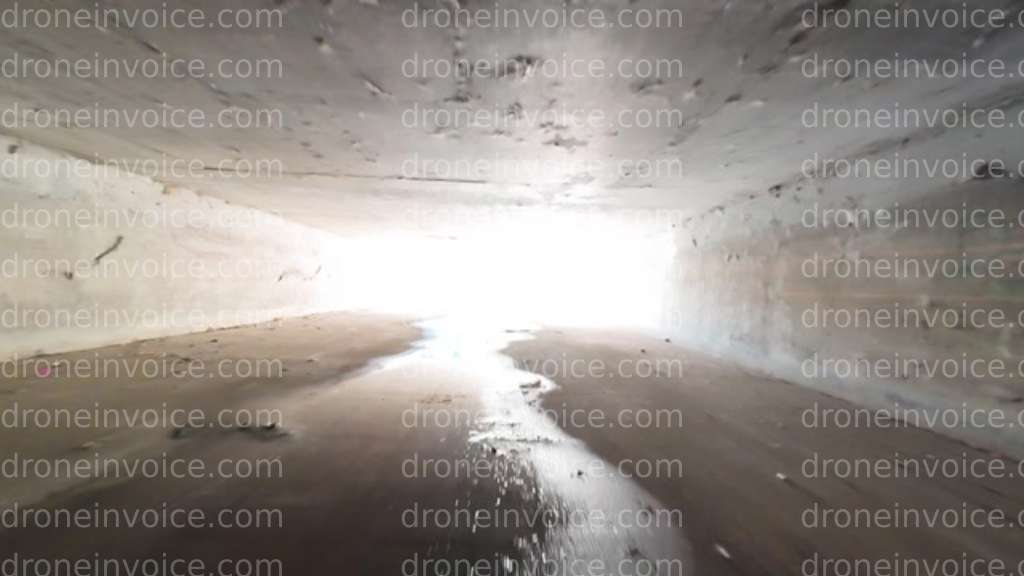 Cover for Simi Arroyo