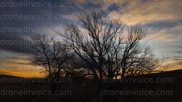 Cover for Single Pic