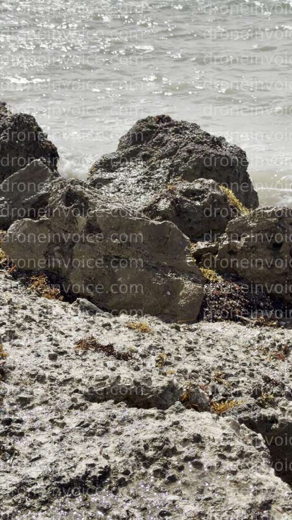 Cover for New Invoice