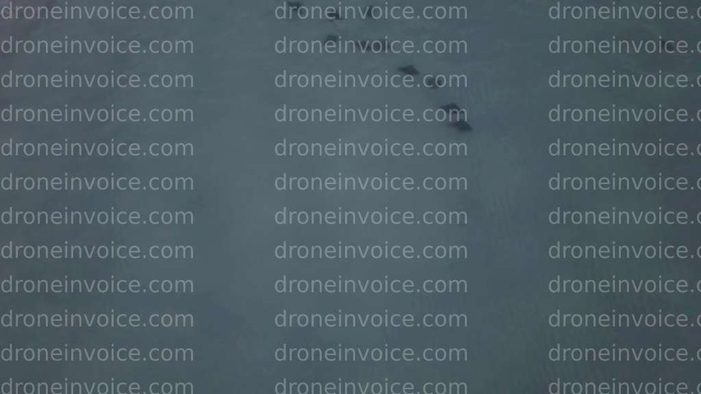 Cover for Springhill Suites Panama City Beachfront