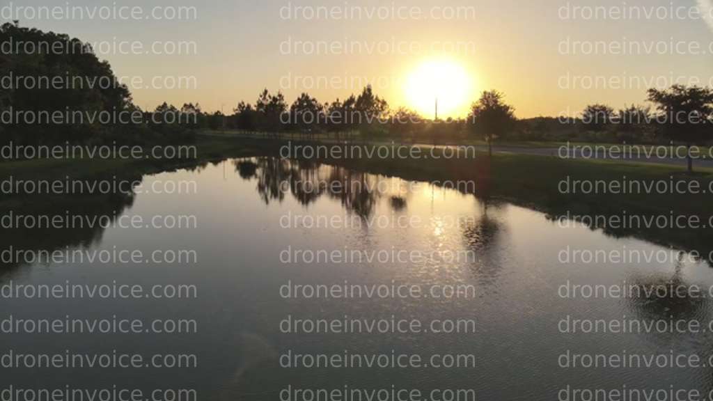 Cover for Alligator follows Drone