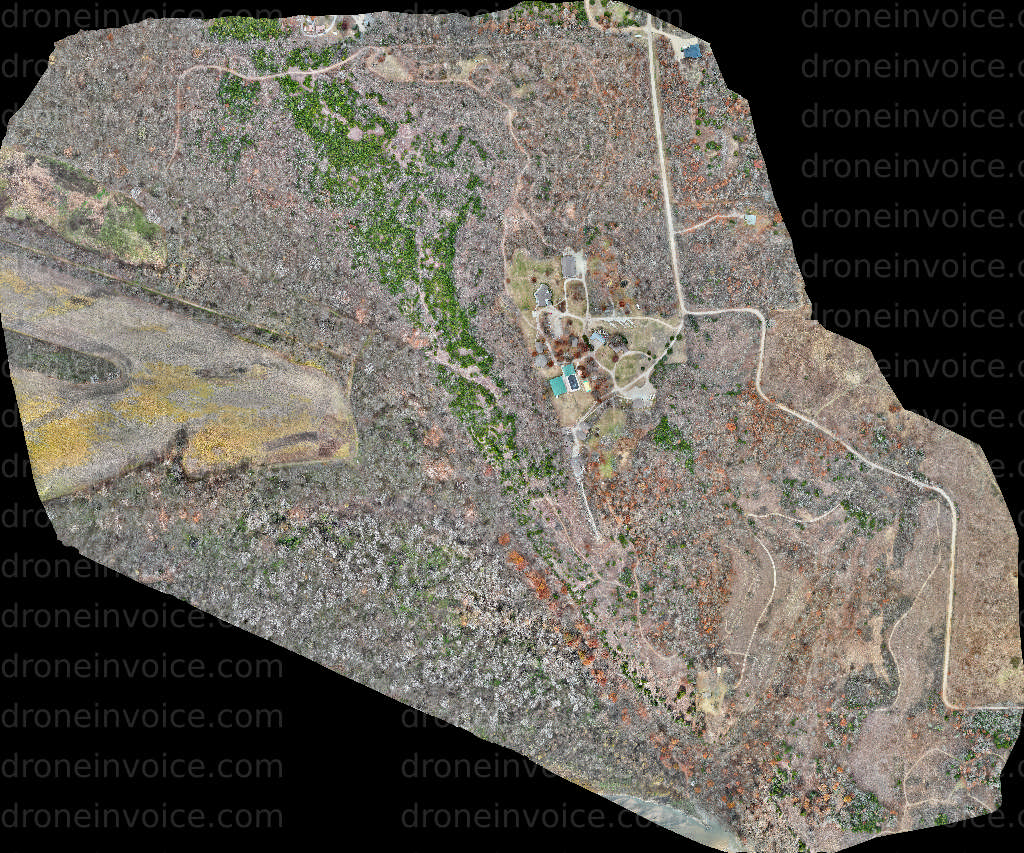 Cover for Camp Horizon