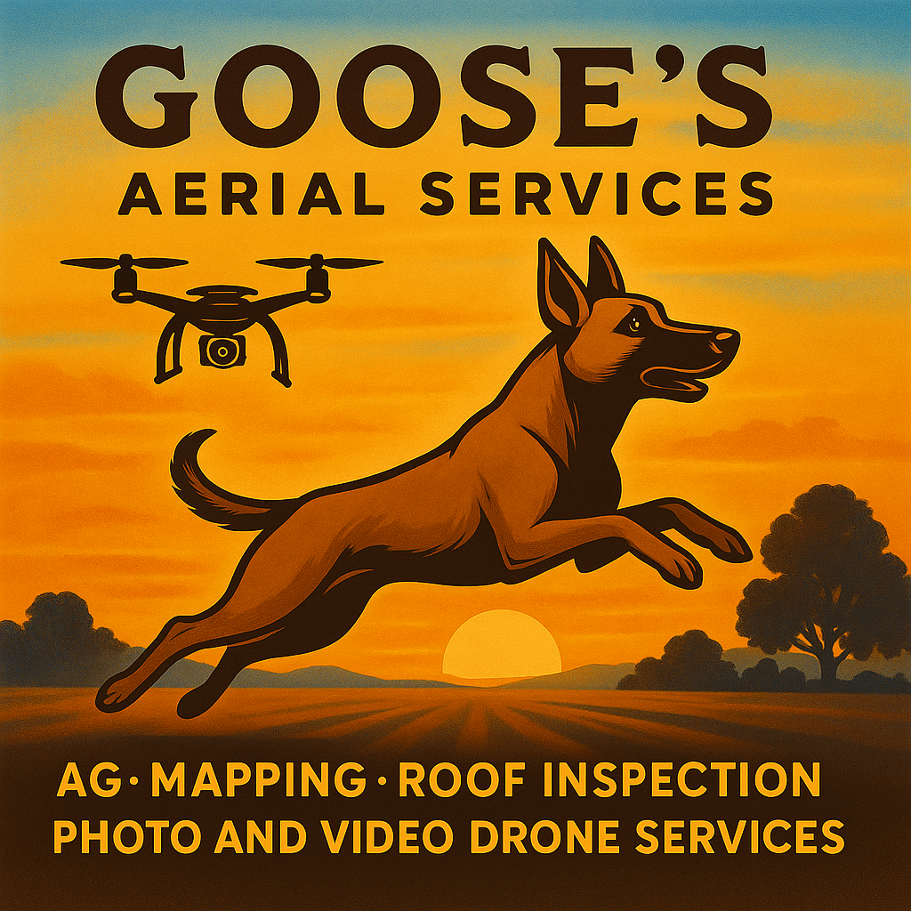 Goose's Aerial Services