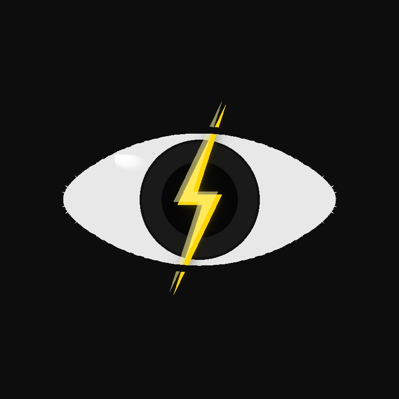 Electric Eye LLC