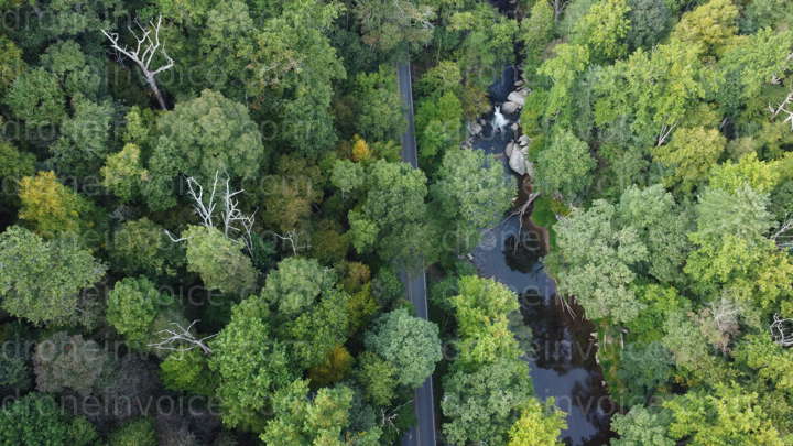 Cover for Road and river cutting through green forest