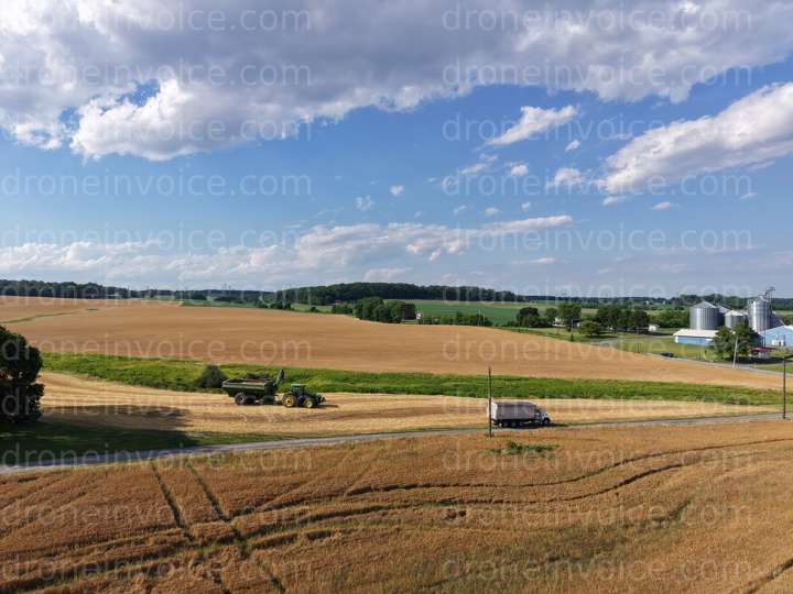 Photo thumbnail