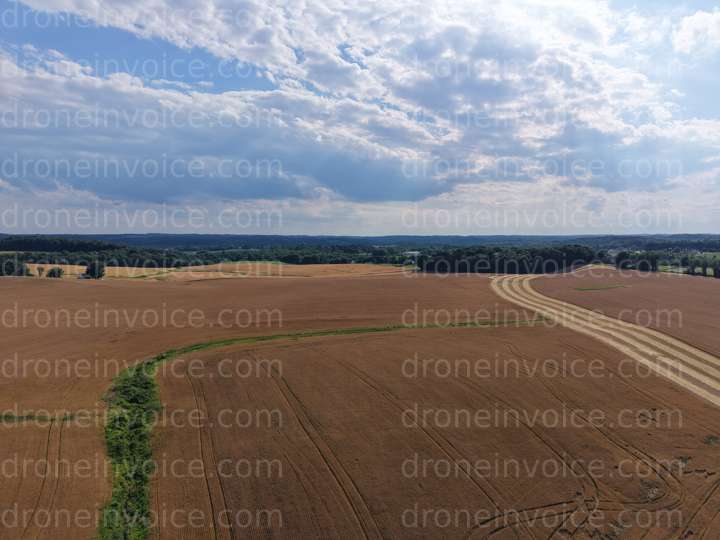 Cover for Harvest lines cut through field of wheat