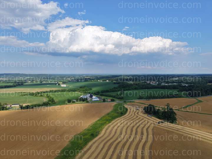 Cover for Summer Rural Landscape
