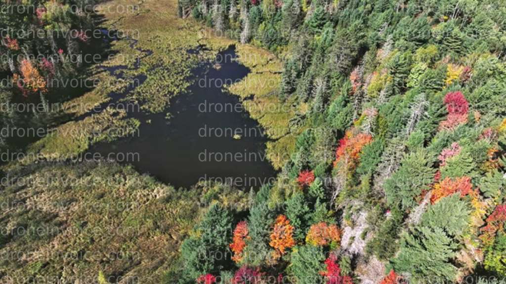 Cover for Real Estate