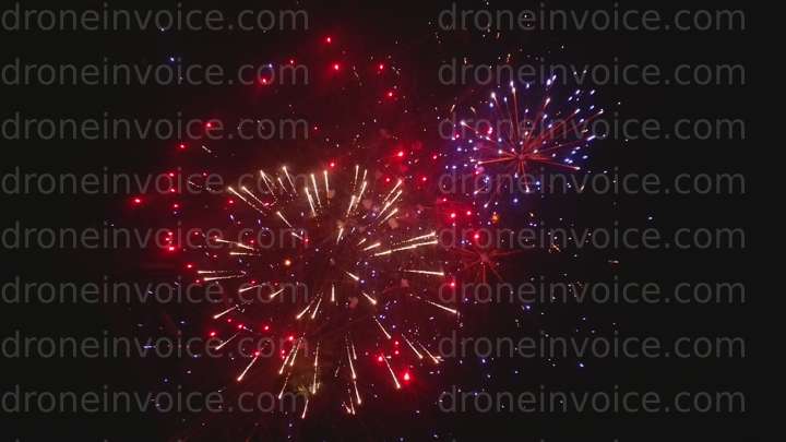 Cover for bwahl's Portfolio Upload Invoice