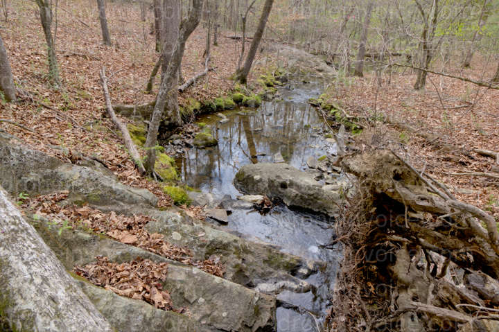 Cover for Whitsett NC Creek