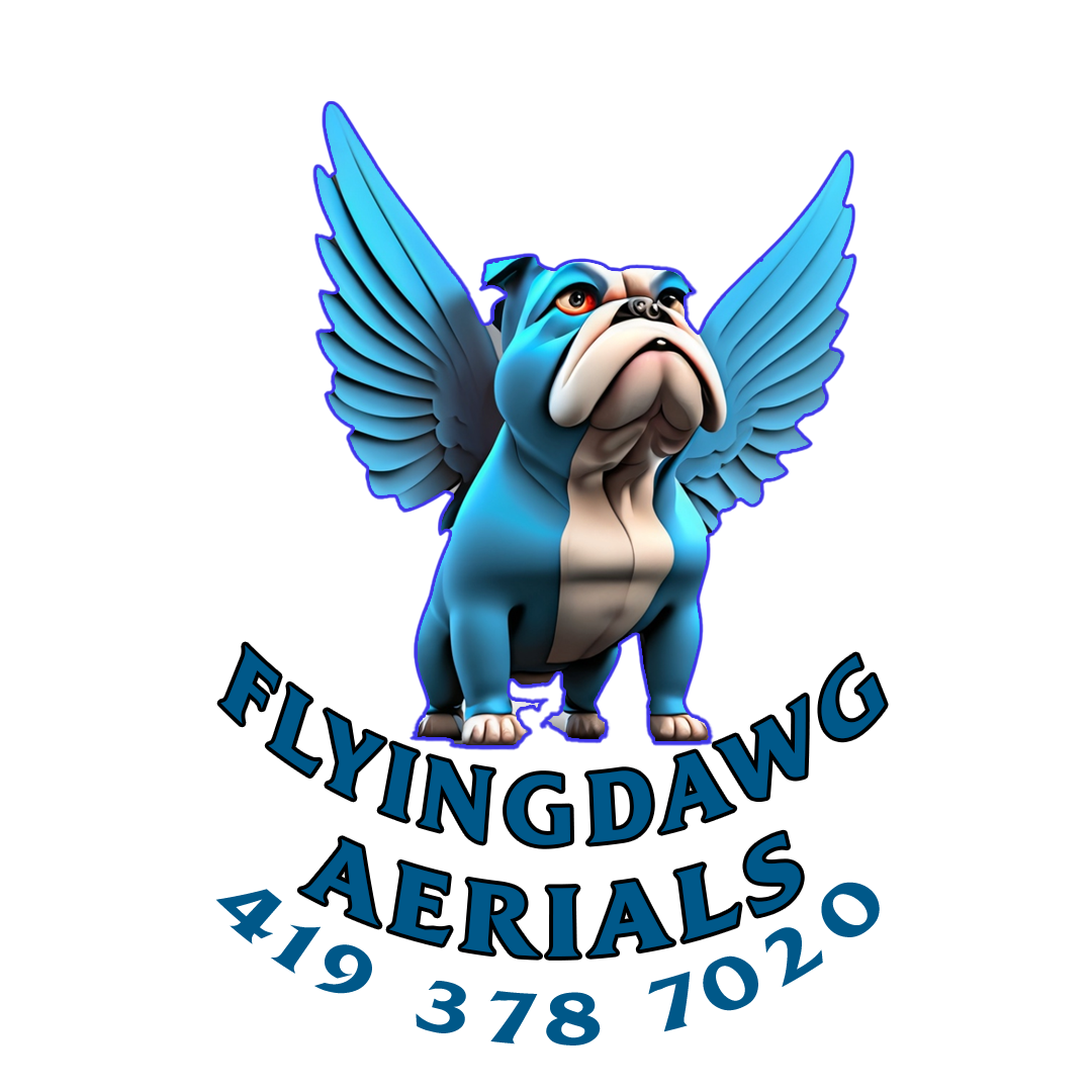 Flyingdawg Aerials