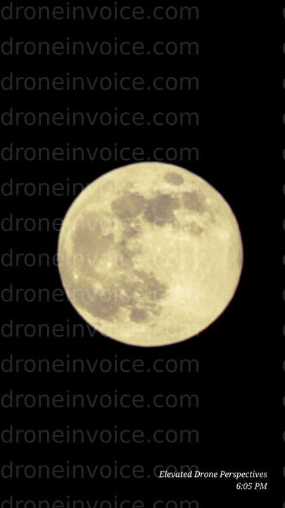 Cover for elevated-drone-perspectives-llc's Portfolio Upload Invoice