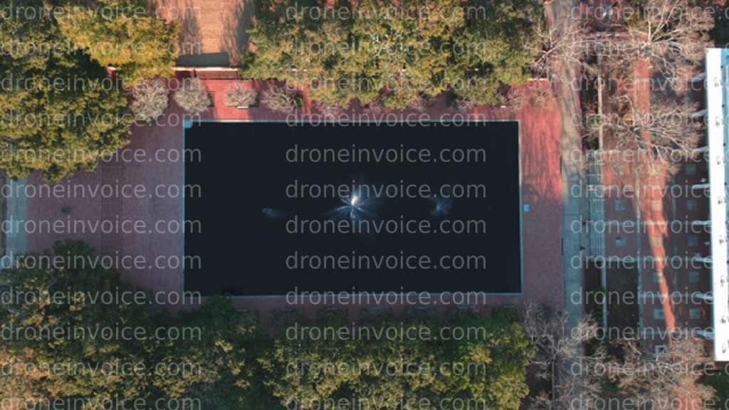 Cover for Thomas Cooper library reflection pond