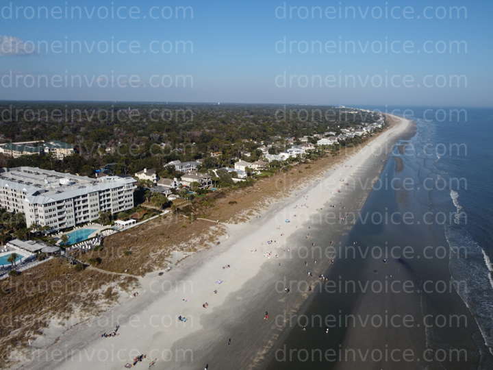 Cover for Coligny Beach, HHI, + Dolphins