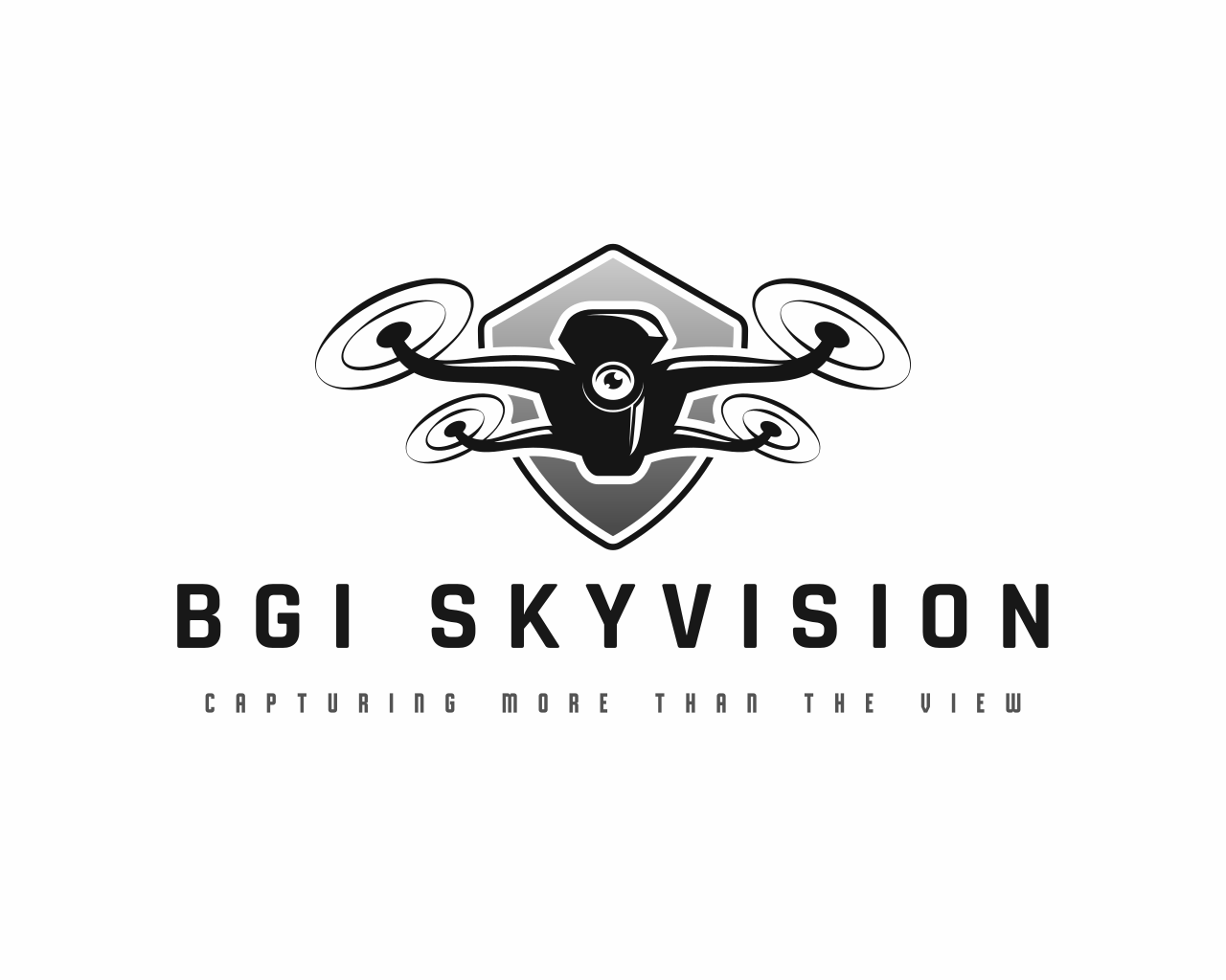BGI SkyVision