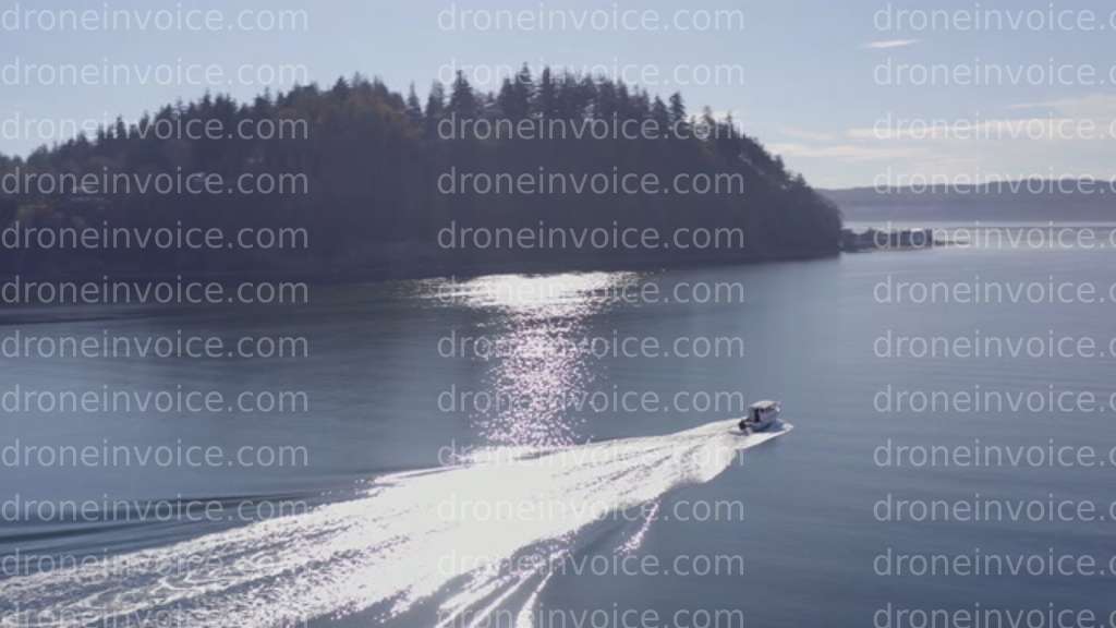 Cover for Default stock media upload invoice