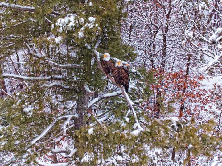 Cover for River Prairie Park- Altoona, WI