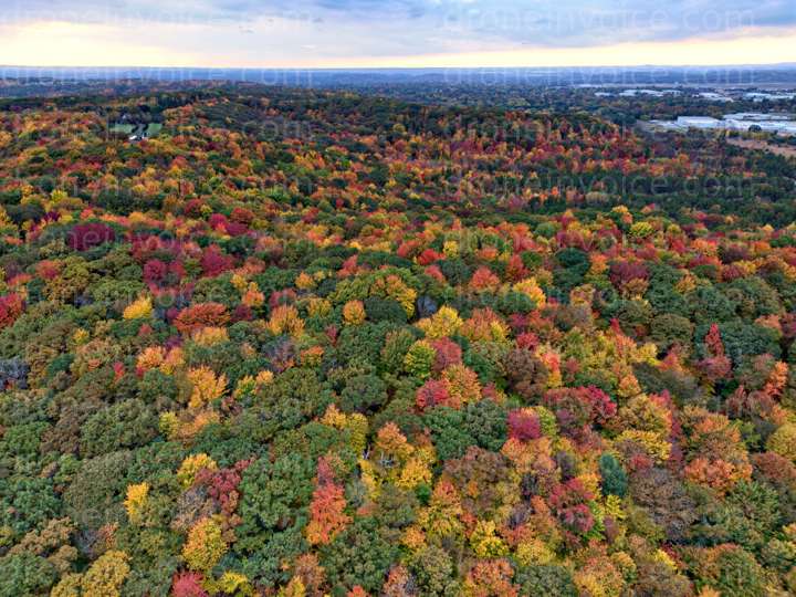 Cover for Fall Colors- North Eau Claire, WI