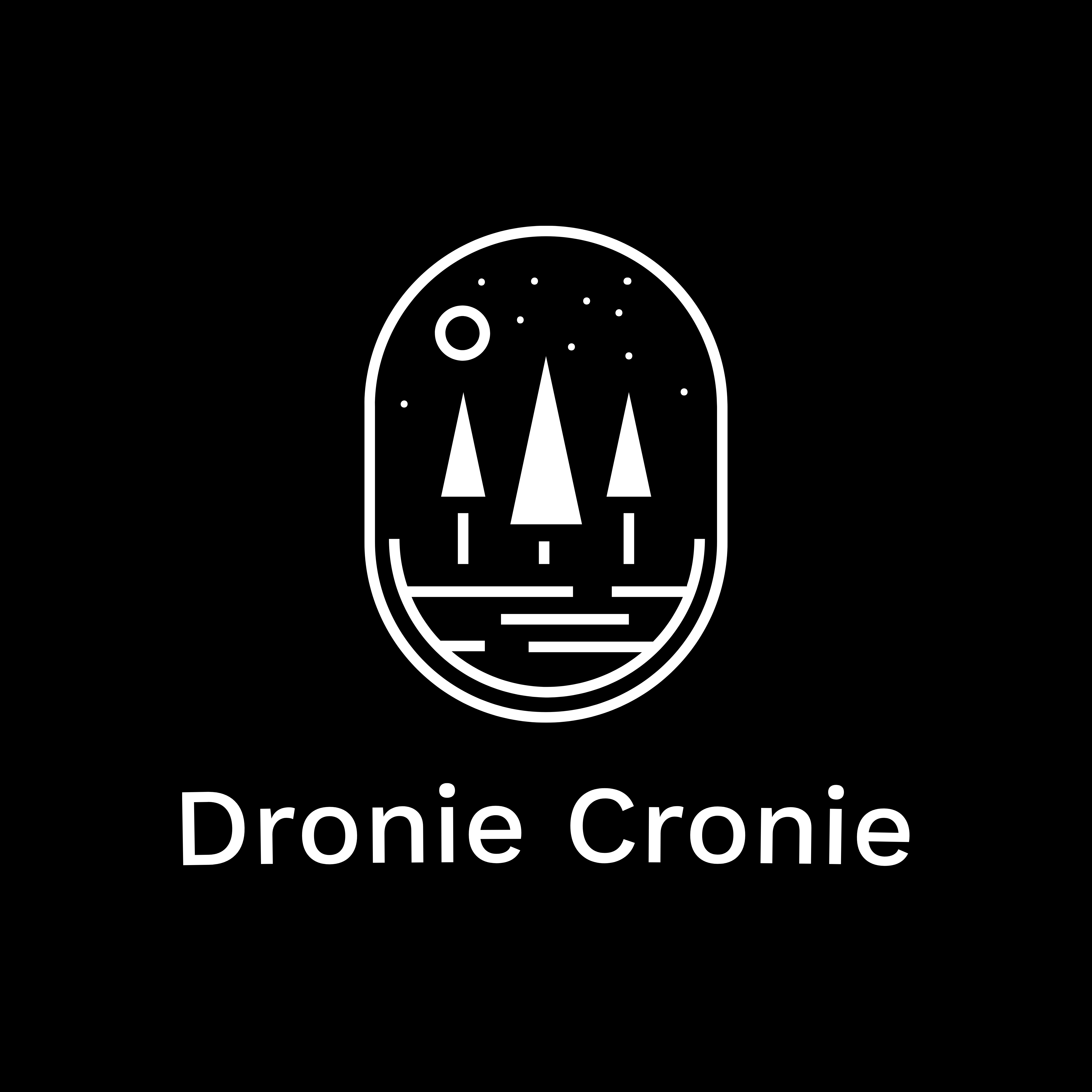 Dronie Cronie LLC