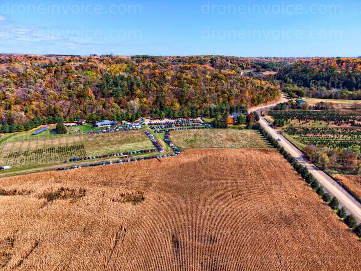 Cover for Vino in the Valley