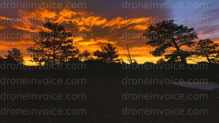 Cover for Default stock media upload invoice